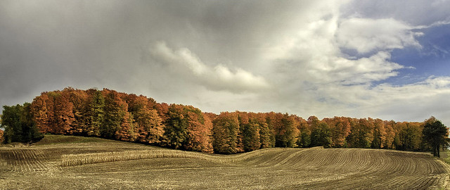 HDR-pano of brilliant Michigan colors on M115 south of Cadillac