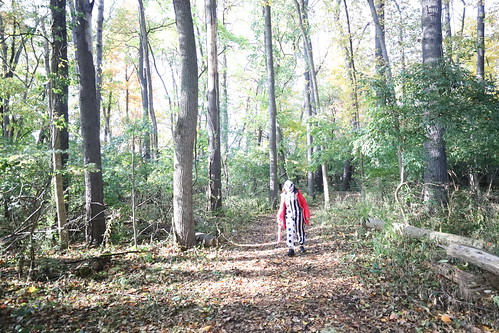 Spooky Woods Walk