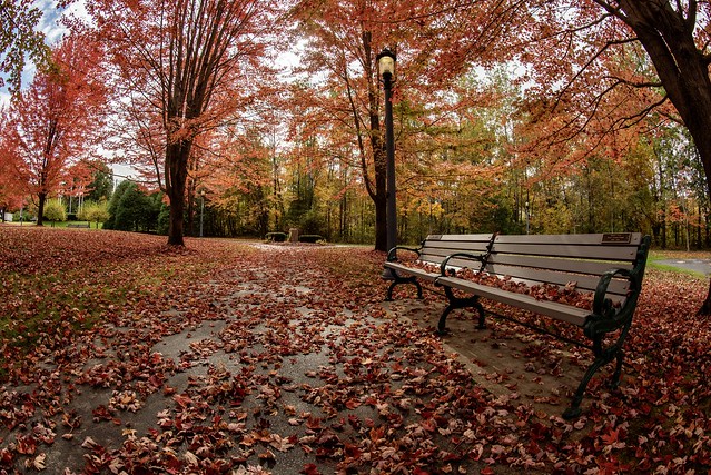 Autumnal Park.