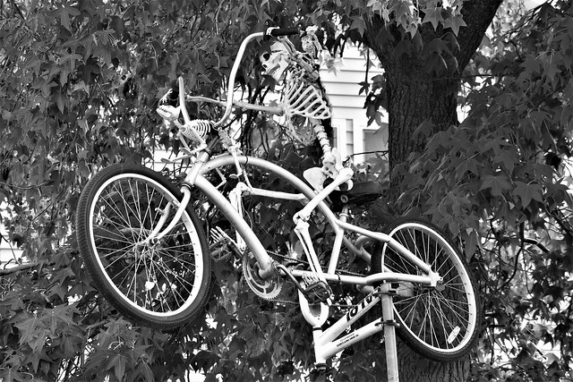 Halloween skeletons @ The Bike Shop - Put-in-Bay, Ohio