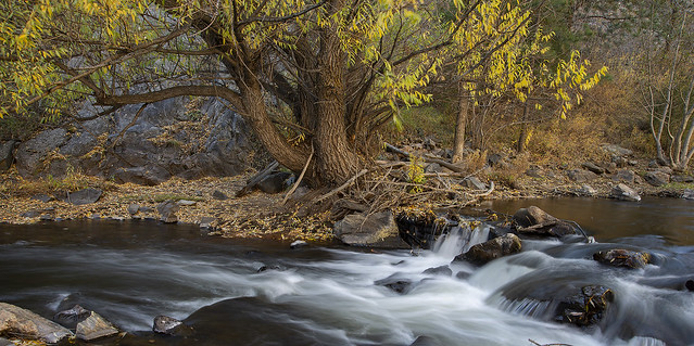 10-20-22-2688 Bear Creek in Fall-flickr