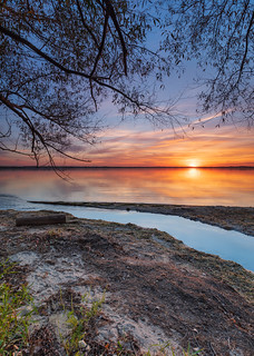 Sunset, Lake and Tree