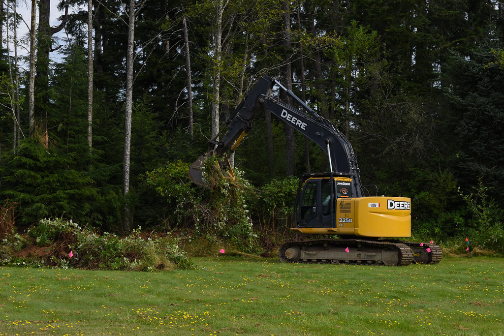 Excavator clearing out invasive species from treeline to make room for new wetland.