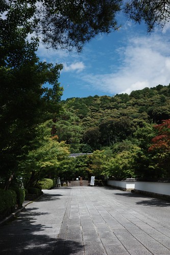 静かな京都をめぐる旅 20