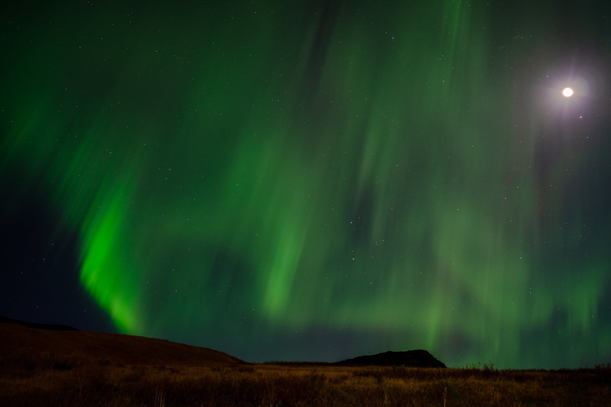 Northern Lights - Vik i Myrdal (Iceland)