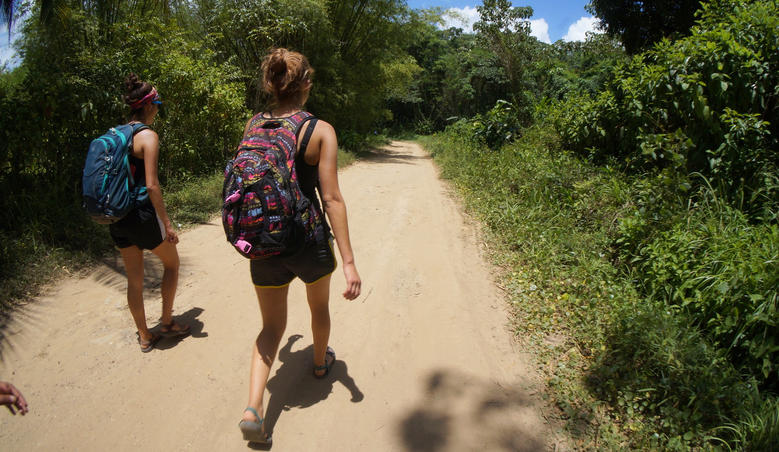 Hiking Trail to Paria Waterfall on the Northern Range in Trinidad