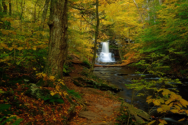 Ricketts Glen: Fall foliage