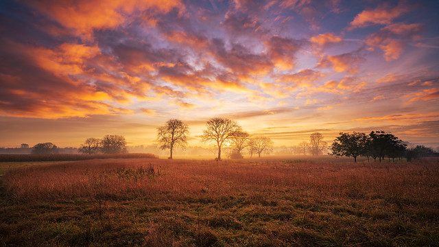 Colourful sunrise over a foggy meadow with some trees on an autumn morning
