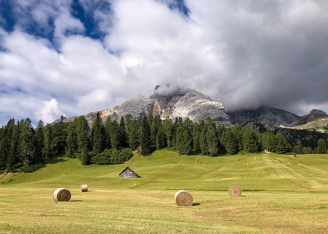 Dolomites Mountain Pasture