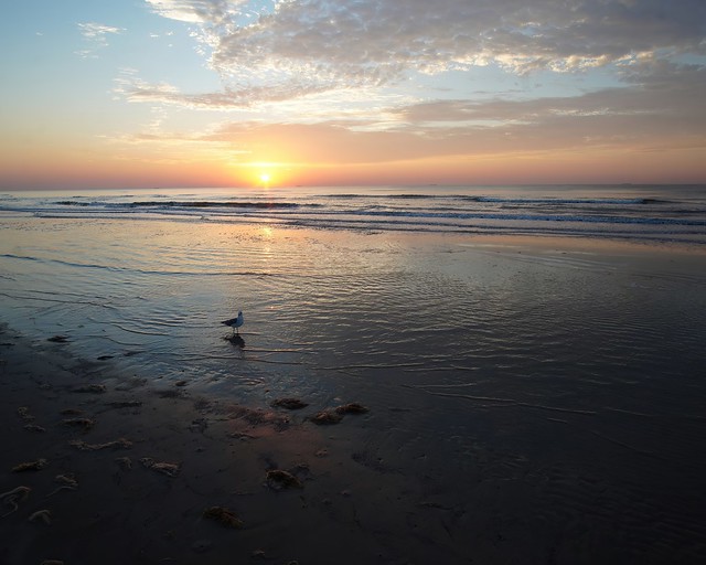 Galveston Sunrise