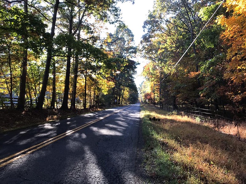 Fall foliage on the roads of Fauquier County VA during the Great Pumpkin Ride