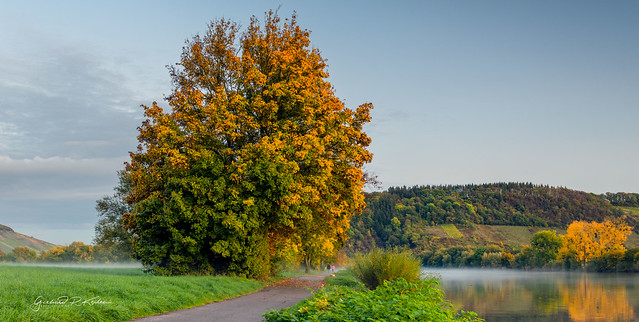 Evening walk on the autumn Moselle!