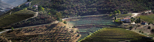 pentax k1ii k1markii hdpentaxdfa70210mmf4edsdmwr portugal vbd dourorivervalley vista landscape vineyard 2022 summer2022 handheld panorama manualexposure