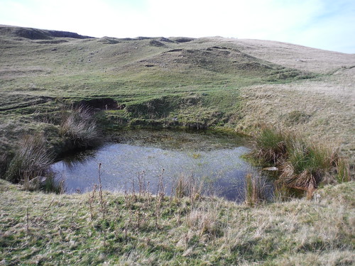 Water-filled shake hole, Carnau Gwynion limestone upland SWC Walk 401 - Storey Arms to Libanus or Circular (via Ystradfellte)