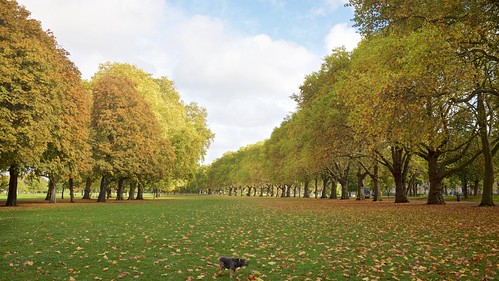 Autumn in Victoria Park