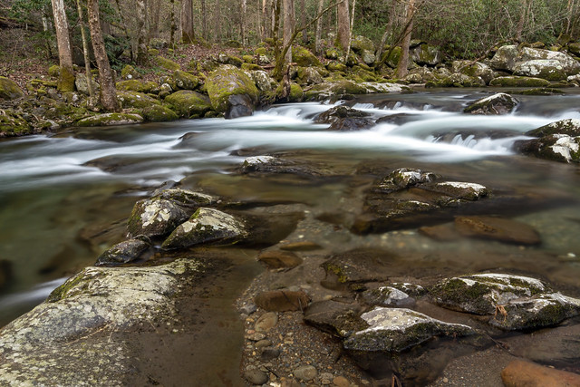 Big Creek, Great Smoky Mountains NP, Haywood County, North Carolina 3