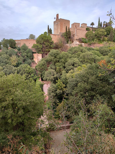 GRANADA / Alhambra / La torre de la Vela emerge del bosque de la Alhambra