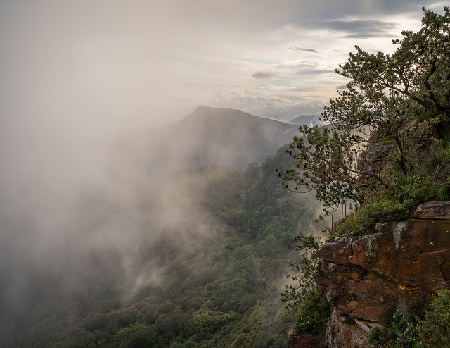 Fog on the Escarpment