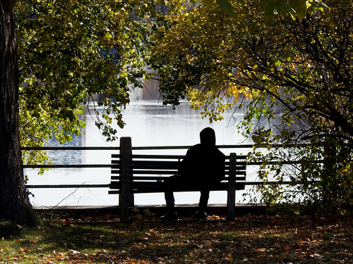 bench banc silhouette autumn automne rideauriver riviererideau ottawa ontario canada solitude takingintheview contemplation peacefulmoments alone candidphotography