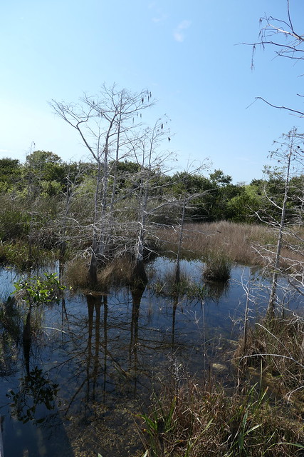Everglades National Park February 2022