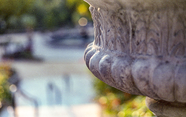 Canon T80 - Superia 400