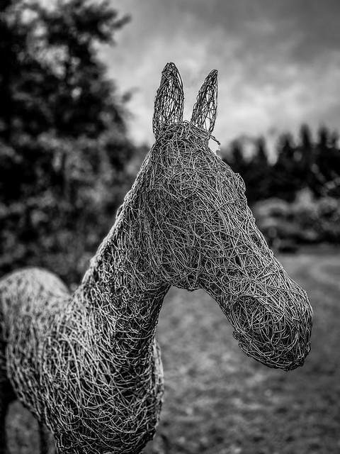 Wire frame horse sculpture at Nunnington Hall North Yorkshire 23rd October 2022