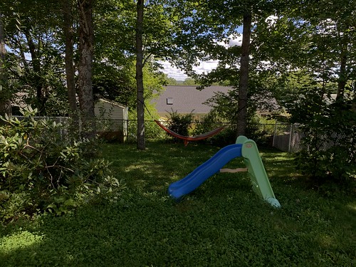 Clover-strewn backyard with trees, hammock, and plastic toy slide