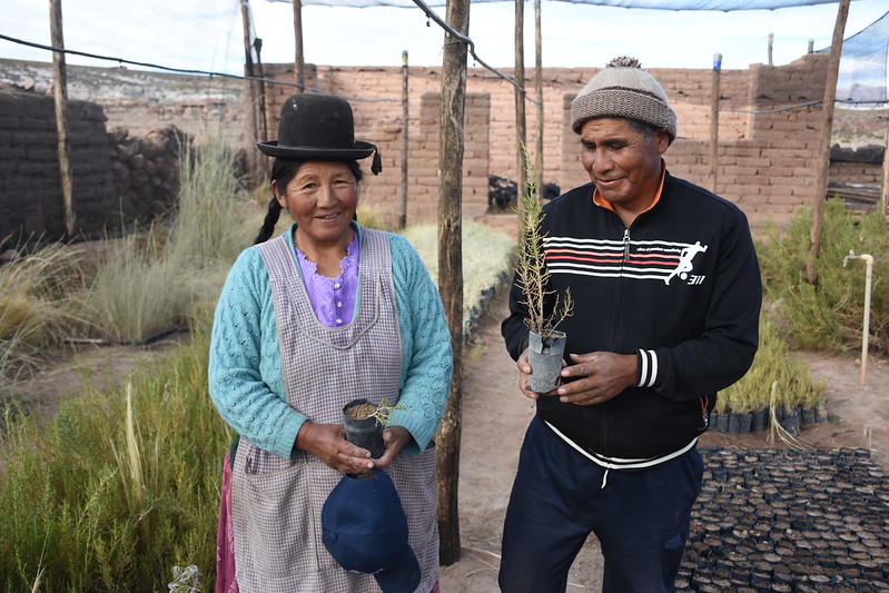 Barreras vivas en Bolivia