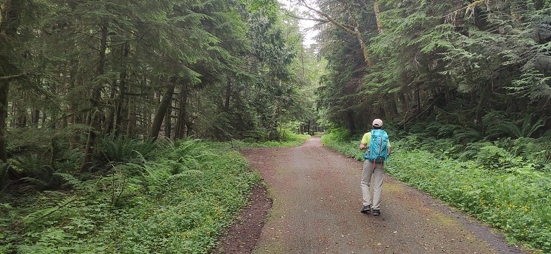 Pateando las montañas del noroeste del Estado de Washington - Blogs de USA - Pateando Mount Baker del 15 al 18/07/2022 (21)