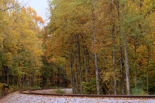 brotherton putnamcounty tn tennessee autumn fallleaves fallcolor tracks traintracks tennesseecentral nerr bmok bmok2 mountgranger