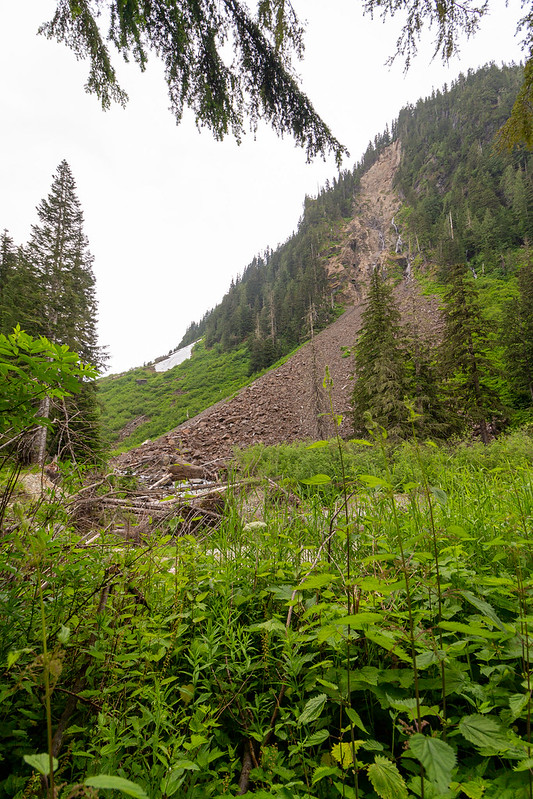 Pateando las montañas del noroeste del Estado de Washington - Blogs de USA - Pateando Mount Baker del 15 al 18/07/2022 (14)