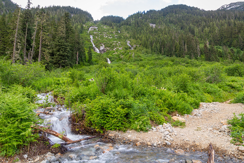 Pateando las montañas del noroeste del Estado de Washington - Blogs de USA - Pateando Mount Baker del 15 al 18/07/2022 (13)