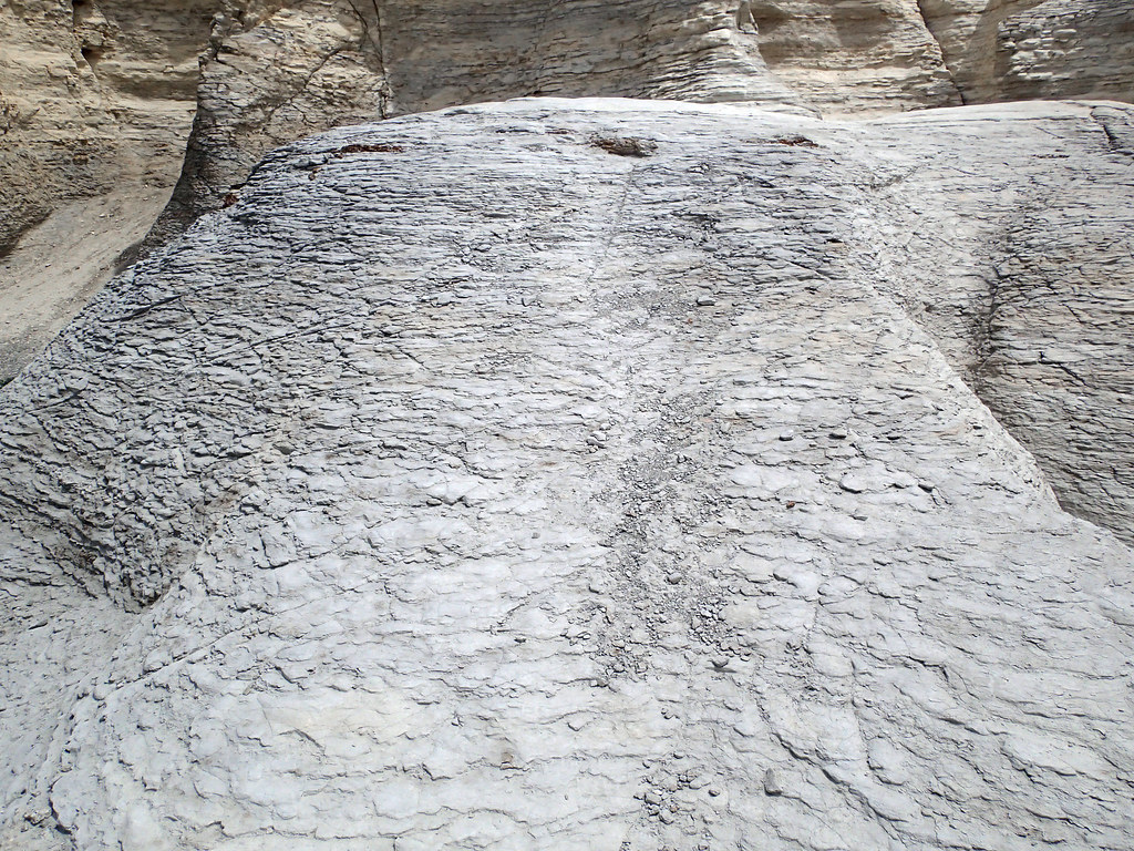Chalk & impure chalk (Smoky Hill Chalk Member, Niobrara Fo… | Flickr