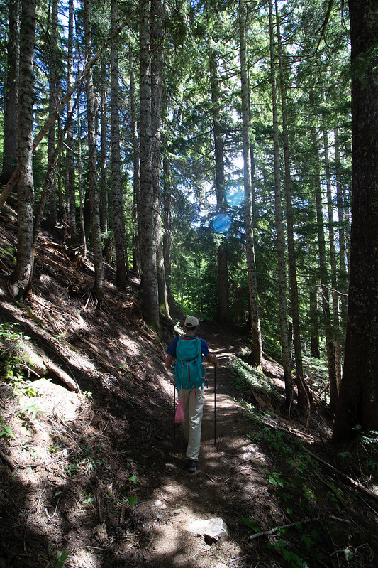 Pateando las montañas del noroeste del Estado de Washington - Blogs de USA - Pateando Mount Baker del 15 al 18/07/2022 (6)
