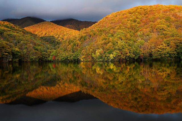 Reflection of a mountain of autumn leaves