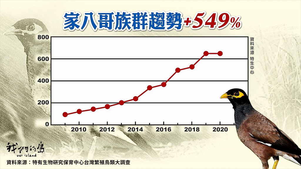 資料來源：特有生物研究保育中心台灣繁殖鳥類大調查