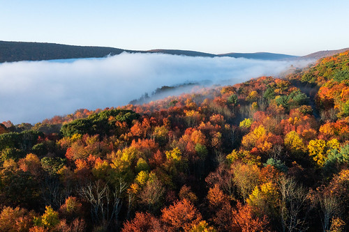 mauchchunk jimthorpepennsylvania pennsylvania fallfoliage autumn fallcolors morningmist fog clouds treesandclouds sky landscapephotography