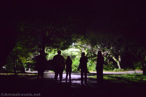 Walking through the neighborhood at night on Topsail Island, North Carolina