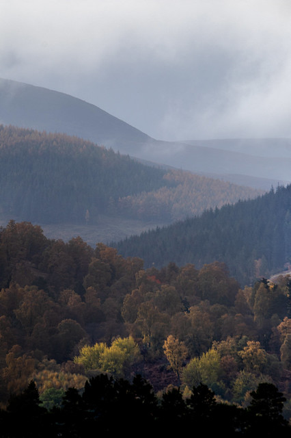 Autumn landscape layers close up. View from Darroch Learg looking between south and south west. Ballater, Scotland