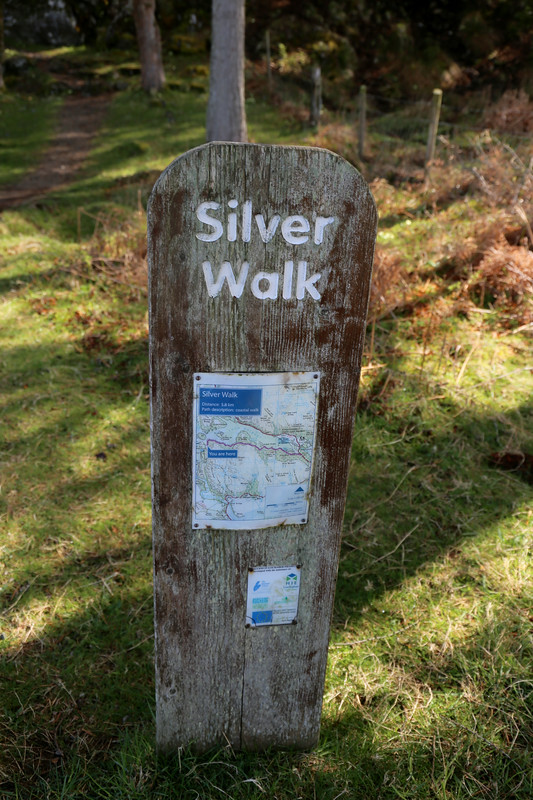 The Silver Walk