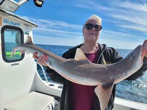 Photo of woman on boat holding a small shark