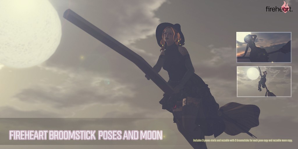 Fireheart Broomstick Poses and Moon