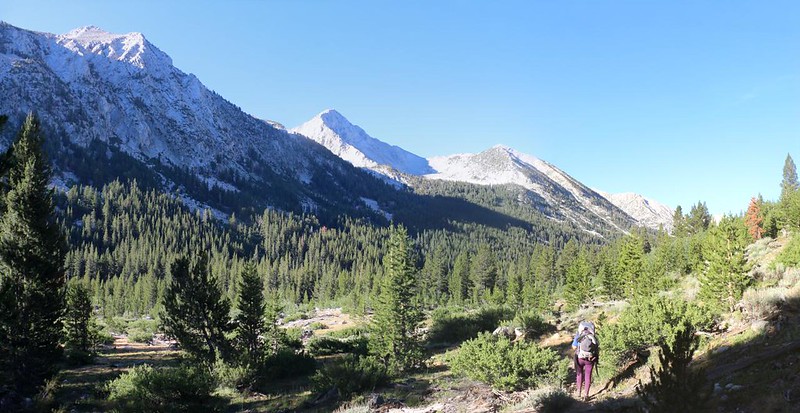 Peak 11646 (far left) and Peak 11278 (left of center) across the wide valley on the Mono Creek Trail