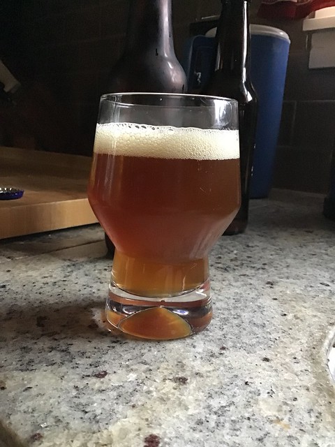 Fresh hop ale in glass on counter