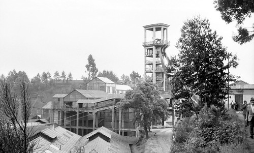 Andorinhas no nível IX, do Cavalete. 1960. Arquivo MMSPC