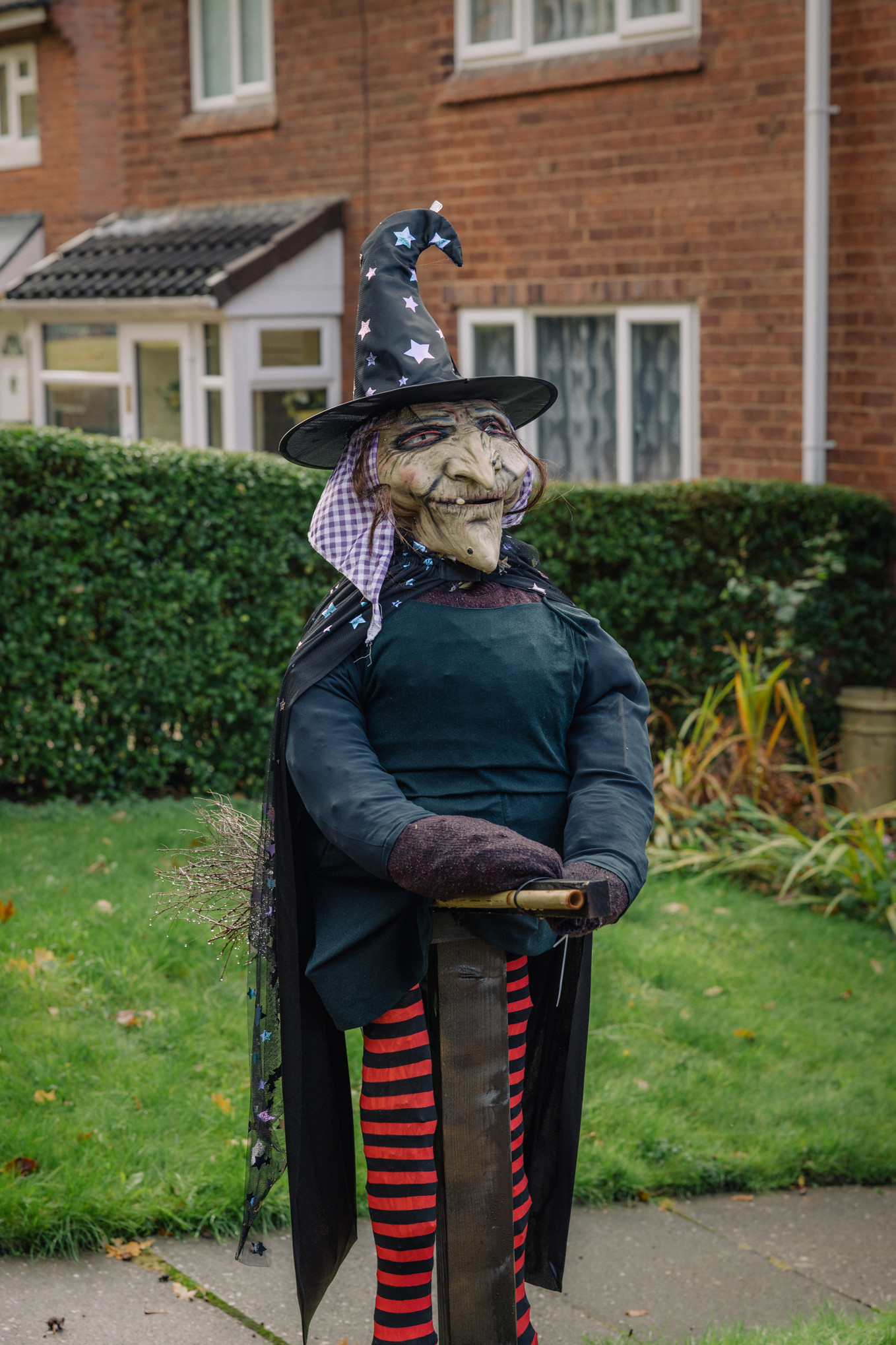 A Scarecrow Festival