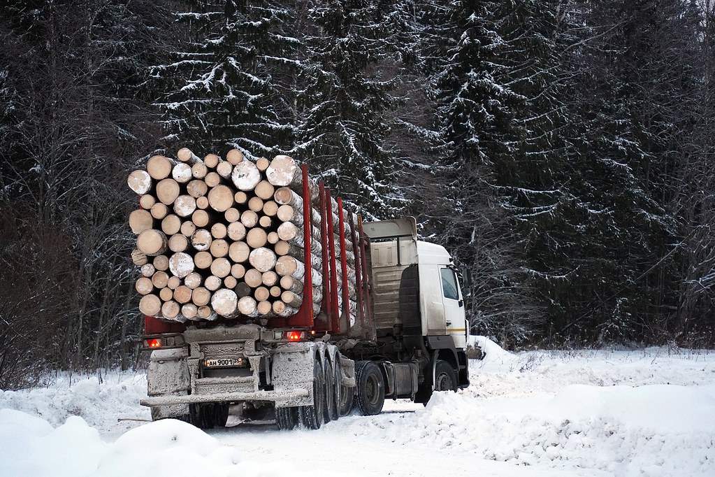 Forestry Logs Forest Logging Lumberjacks Truck