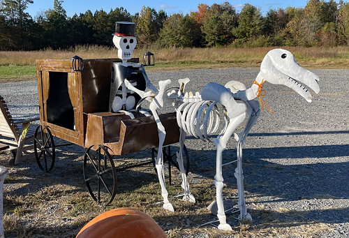 bkhagar halloween hearse oldfashioned metal tin decoration horse skeleton tennessee fall autumn