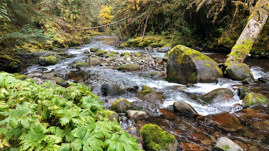 Huxley Lake Trail #521