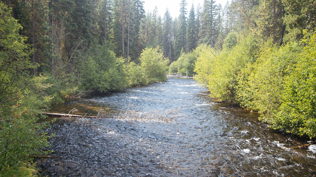 Fawn Lake